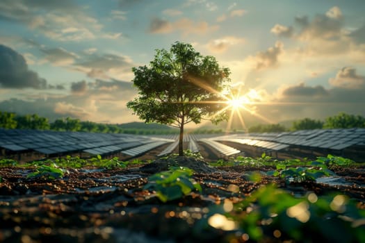 A small tree is growing in a field of solar cells .renewable energy and sustainable .AI generative.