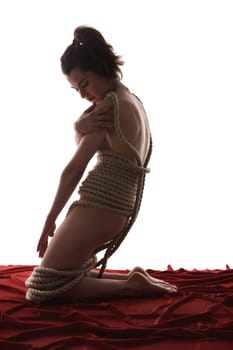 Bondage as sexual fetish. Studio photo of nude girl tied with rope