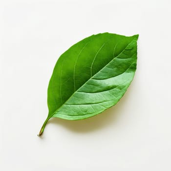 Green leaf on white background. Generative AI.