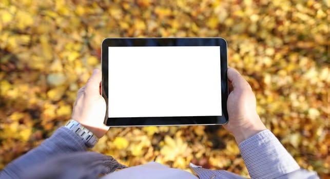 Man in pakr hold digital tablet pc with blank screen in park against yellow leaves background closeup. Autumn sales concept