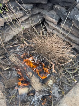 branches of tree roots lie in the fire