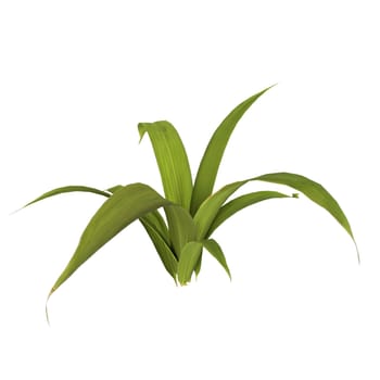 Plant isolated on white background. High quality 3d illustration