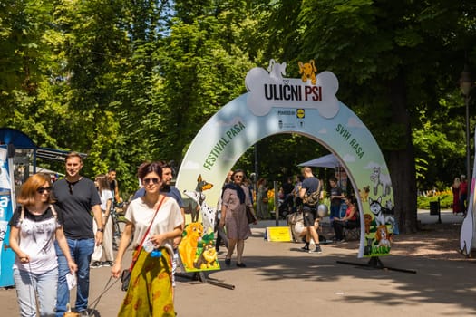 June 18, 2023 Belgrade, Serbia - purebred dogs and street dogs. Pet festival in the city park on a bright sunny day in Kalemegdan park. Dog show