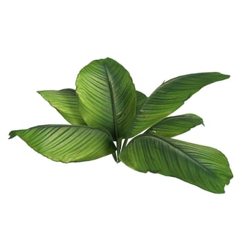 Plant isolated on white background. High quality 3d illustration