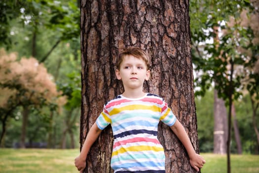 Little boy hugs a tree trunk - children love the nature, sustainability concept. Save the nature.