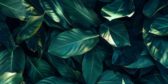 Detailed view of a multiple fresh green leaves up close