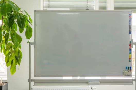 Close-up of a whiteboard and a green plant. Background, space for text, space for copying.