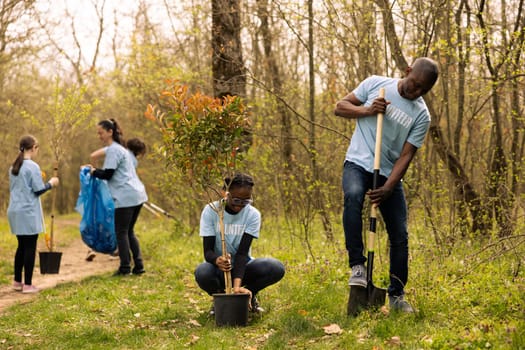 African american ecologic activists planting small trees in a forest, working together in unity to preserve and protect the natural environment. Growing vegetation for reforestation.