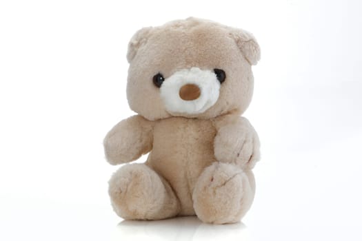 A cute Brown Teddy Bear on white