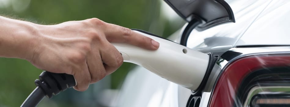 Closeup hand insert and EV charger to recharge EV car's battery from charging station. Alternative energy utilized for transportation with environmental friendly for future sustainability. Synchronos