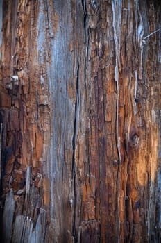 Natural wooden planks in a rustic style