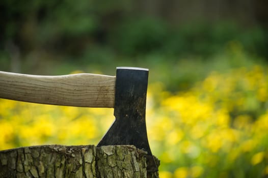 Hatchet or ax stuck in a tree stump against of blured forest background. Deforestation, forest clearance or firewood preparation for winter