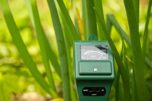 Agricultural meter to measure the soil pH, light and moisture level of the soil in a field with fresh green spring seedlings during crop cultivation