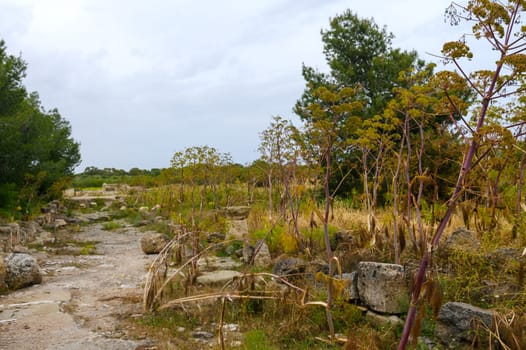 abandoned excavations in an ancient ruined city, Cyprus. bad attitude towards historical monuments 4