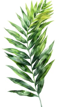 A watercolor painting of a palm tree leaf on a white background showcasing the beauty of this terrestrial plant with evergreen foliage