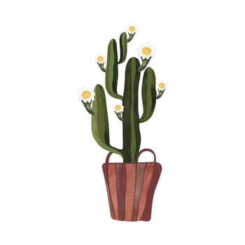Cactus in a wicker basket. Plants for the home. Floriculture. Interior decoration. Isolated watercolor illustration on white background. Clipart