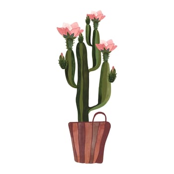 Cactus in a wicker basket. Plants for the home. Floriculture. Interior decoration. Isolated watercolor illustration on white background. Clipart