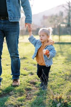 Little girl with an apple walks on a green pasture holding her dad hand. Cropped. High quality photo