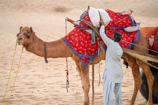 Jaisalmer, Rajasthan, India - 25th Dec 2023: man in traditional kurta pyjama dress standing with camel wearing brightly colored clothes in the middle of sand dunes