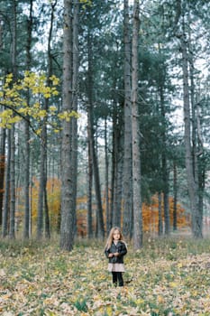 Little girl stands among fallen leaves in an autumn park. High quality photo