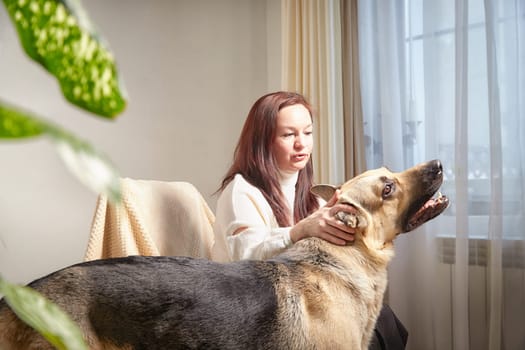 Middle aged Woman Relaxing in Chair With German Shepherd Indoors. Smiling mature woman in armchair with her attentive pet dog in a cozy room