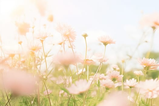 Picturesque meadow filled with vibrant wildflowers, basking in the warm sunlight of the English countryside, nature background idea