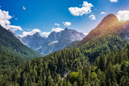 Great nature scenery in Slovenian Alps. Incredible summer landscape on Jasna lake. Triglav national park. Kranjska Gora, Slovenia. Mountain lake Jasna in Krajsnka Gora, Slovenia. 