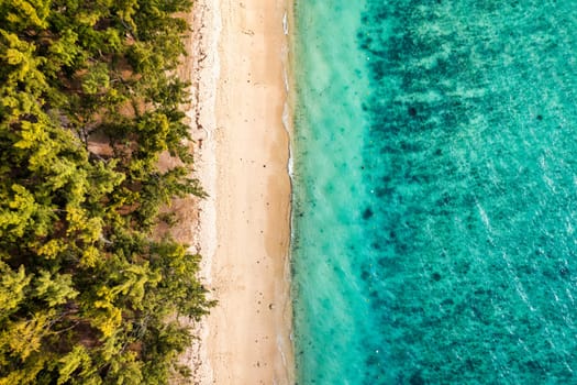 Beautiful Mauritius island with beach Flic en flac. Coral reef around tropical palm beach, Flic en Flac, Mauritius. Aerial view of a beautiful beach along the coast in Flic en Flac, Mauritius.