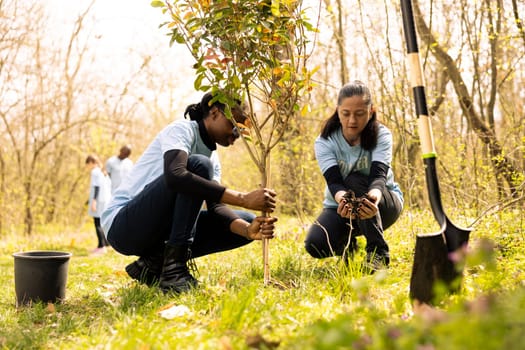 Team of environmentalists digging holes and planting greenery, installing trees in the ground for reforestation. People doing voluntary work to support conservation project, save the planet.