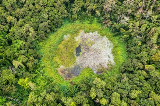Aerial top view perspective of Trou Aux Cerf Volcano Curepipe in the tropical island jungle of Mauritius. Aerial view of Trou aux cerfs dormant volcano located at Curepipre, Mauritius