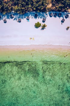 Ile aux Cerfs island with idyllic beach scene, aquamarine sea and soft sand, Ile aux Cerfs, Mauritius, Indian Ocean, Africa. Ile aux Cerf in Mauritius, beautiful water and breathtaking landscape.