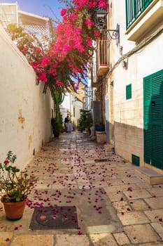 Spectacular cityscape of Polignano a Mare town, Puglia region, Italy, Europe. Polignano Al Mare, scenic small town in Puglia, Italy. Polignano a Mare village on the rocks, Bari, Apulia, Italy. 