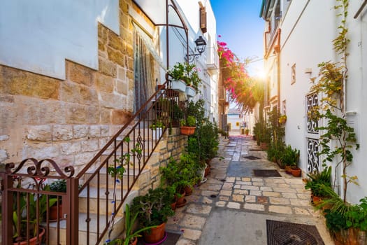 Spectacular cityscape of Polignano a Mare town, Puglia region, Italy, Europe. Polignano Al Mare, scenic small town in Puglia, Italy. Polignano a Mare village on the rocks, Bari, Apulia, Italy. 