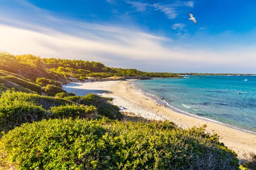 View of Baia dei Turchi, Puglia region, Italy. Turkish Bay (or Baia dei Turchi), this coast of Apulia is one of the most important ecosystems in Salento, Italy. Seacoast of Baia dei Turchi.