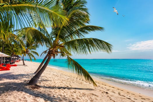 Paradise beach resort with palm trees and and tropical sea in Mauritius island. Summer vacation and tropical beach concept. Sandy beach with Le Morne beach on Mauritius island. Tropical landscape.