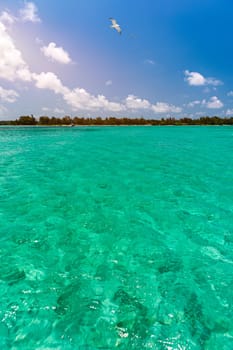 Water surface in vibrant green. View of a crystal clear sea water texture. View natural sea water, green background. Green water reflection. Green ocean wave.