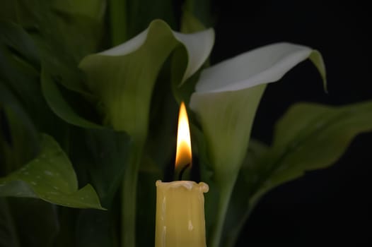Single burning candle takes prominence in the foreground next to it white calla lilies with a green leaves suggesting of remembrance, reflection, and hope