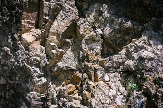 Close-up detailed photo of a light gray stone background