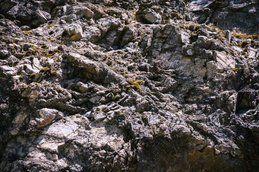 Textured stone sandstone surface. Close up image 1