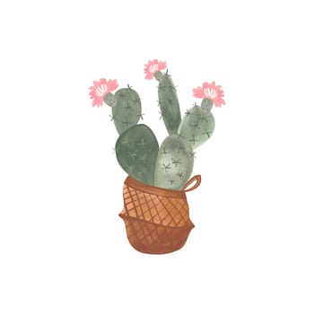 Cactus in a wicker basket. Plants for the home. Floriculture. Interior decoration. Isolated watercolor illustration on white background. Clipart