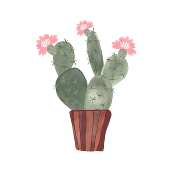 Cactus in a wicker basket. Plants for the home. Floriculture. Interior decoration. Isolated watercolor illustration on white background. Clipart