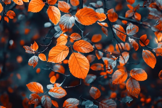 A close up of orange leaves on a tree. The leaves are in various shades of orange and the tree is surrounded by a blue sky. Concept of warmth and tranquility. Generative AI