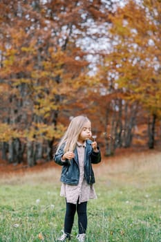 Little girl, with her eyes closed, blows on a dandelion in her hand, standing on the green edge of an autumn forest. High quality photo