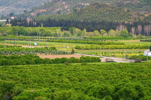 Aerial view of orchards and fields in Antalya Aspendos region