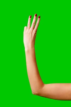 Womans Arm Hand Sign Raised in the Air on green background