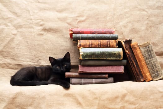 Small black kitten near old books on canvas background