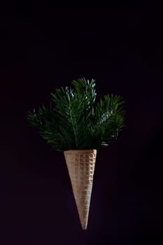 A cone shaped container with a green plant inside. The image has a dark background and a moody atmosphere