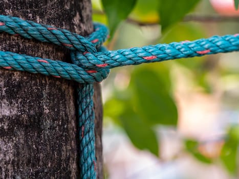 The nylon rope was tightly tied to the big tree