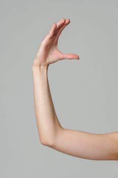 Female hand sign against gray background in studio close up