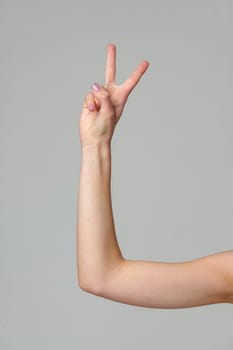 Female hand gesturing numbers on gray background close up